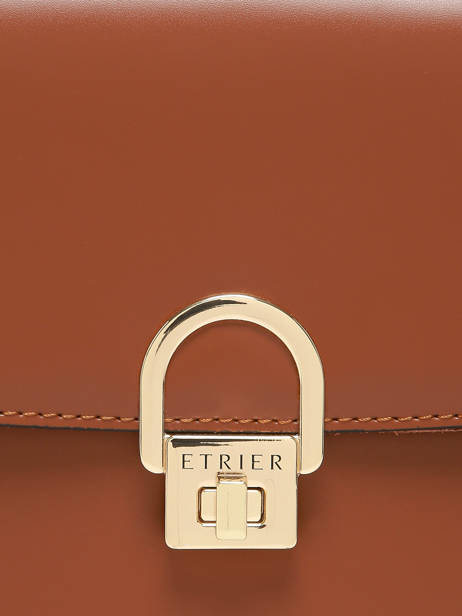 Shoulder Bag Altair Leather Etrier Brown altair EALA134M other view 5
